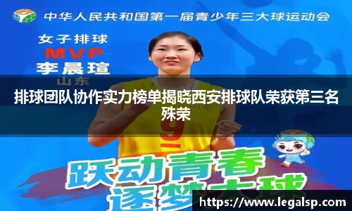 3377体育官网