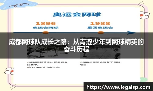 3377体育官网