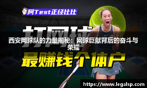 3377体育官网