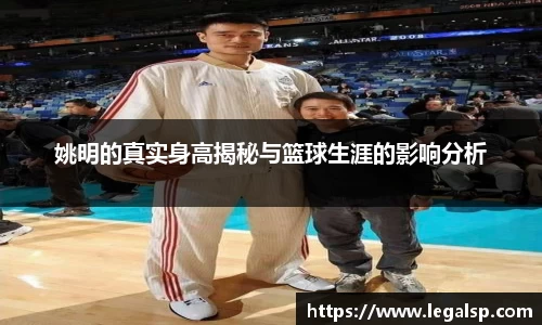 3377体育官网