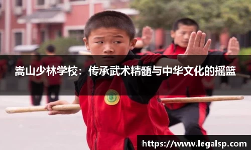6T官方网站